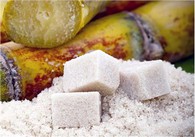 Coconut Shell CAS 64365-11-3 Poud dekolorizasyon sik aktive Kabòn