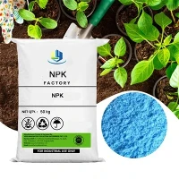 100% NPK idrosolubl 13-40-13