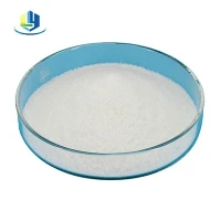 Kationik Dewatering Flocculant High Efficient CPAM CAS 9003-05-8 Kationik PAM