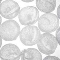 Tretman Dlo 1mm 3mm 6mm 10mm 20mm Granulaire Siliphos Polyphosphate Crystal RO boul antiskal